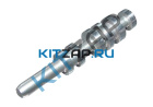 ������ ����
